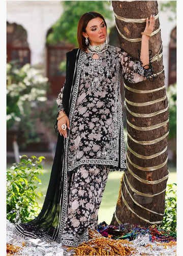 Black Embroidered Chiffon Suit