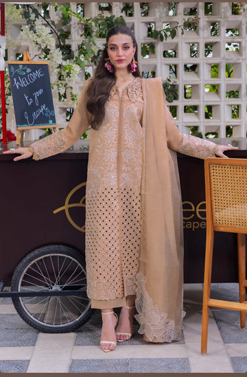 Beige Lawn Suit with Organza Patchwork